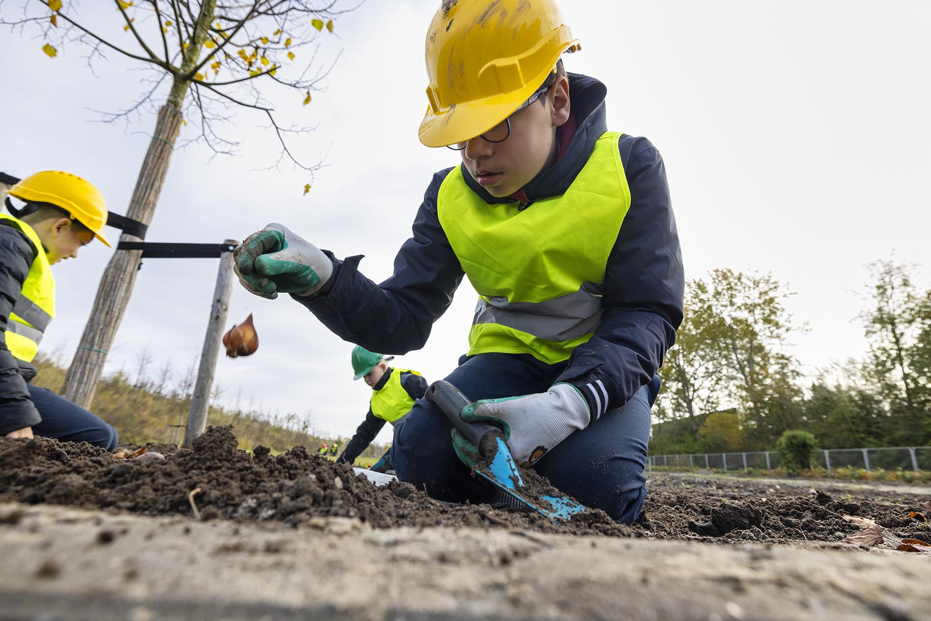 Almeerse schoolklassen fleuren Floriade-terrein op met bloembollen