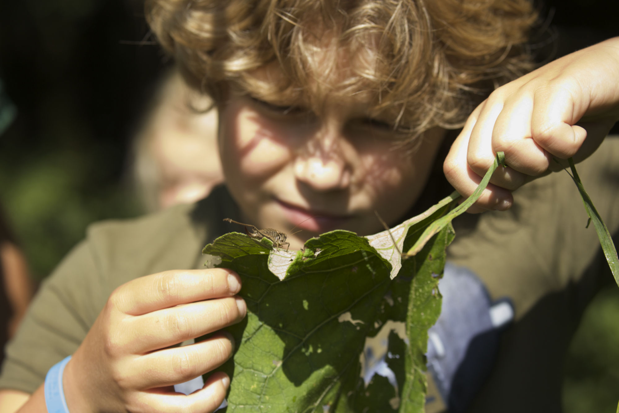 kinderdirecteur gezocht