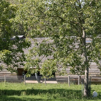 Het Vroege Vogelbos